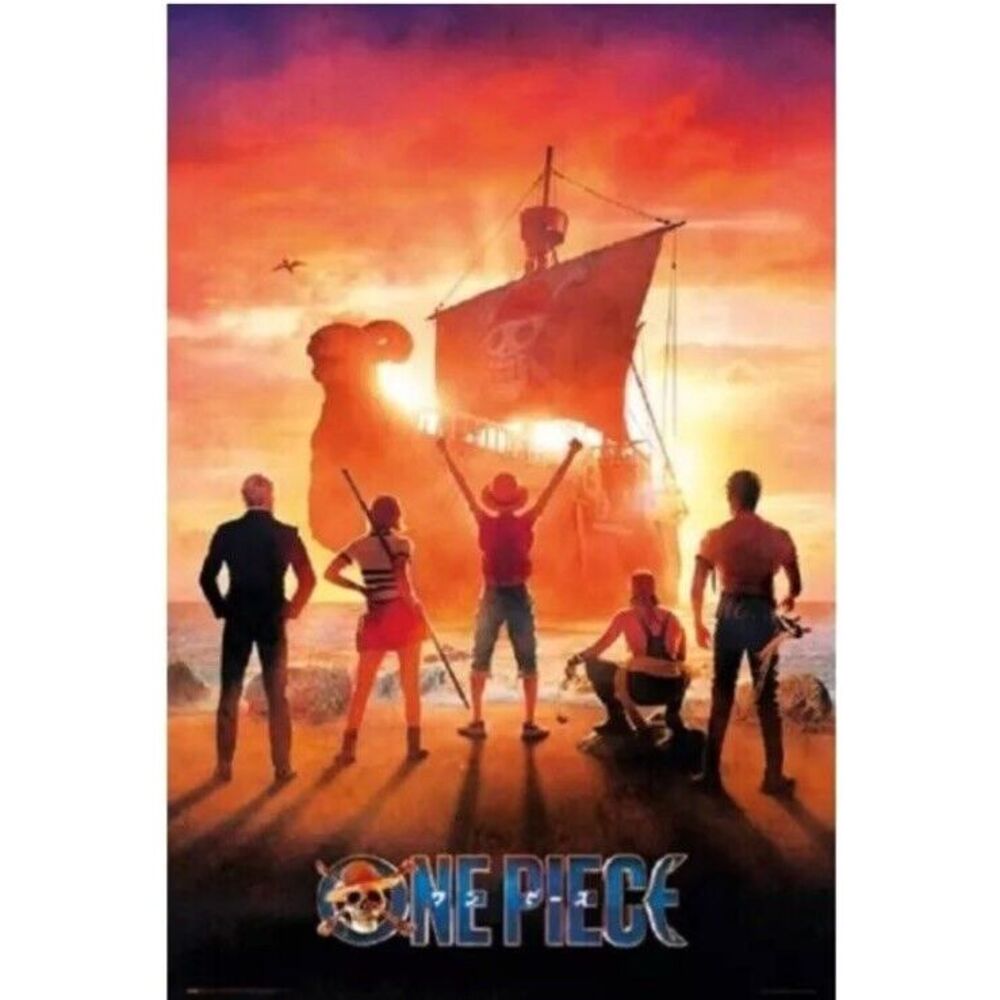 NETFLIX ONE PIECE SERIES Teaser One Sheet MOVIE 22"x34" Poster 27108 RP23885 NEW